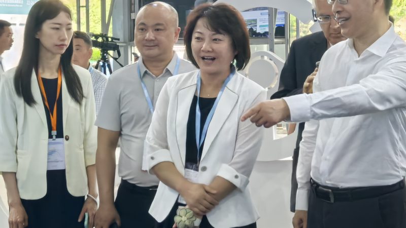 汽车大灯型号对照图：如何快速识别与选择